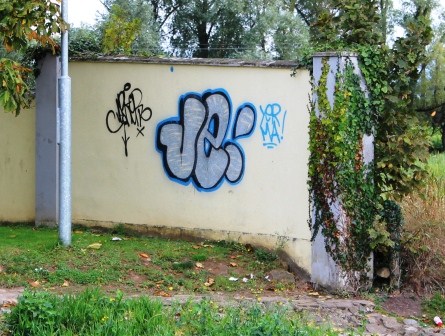 graffiti-swimmingpool.jpg