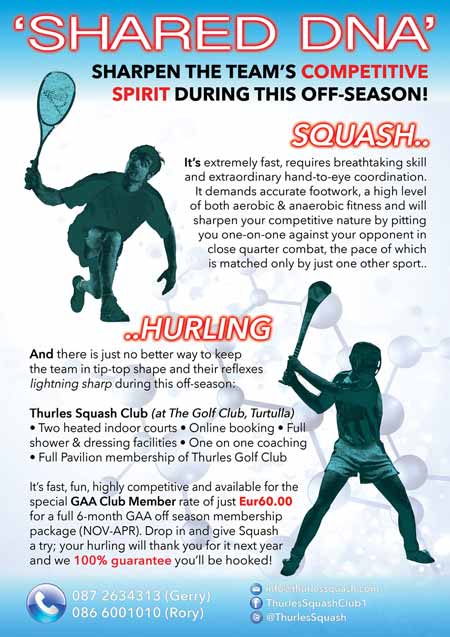 Hurling-leaflet